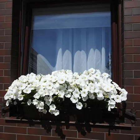 אכסניה U Skrzata